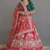 ns-l2-1 NS Designer Red Bridal Zari Embroidered Lehenga