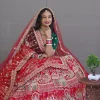 ns-l2-3 NS Designer Red Bridal Zari Embroidered Lehenga
