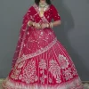 NS Rani Pink Bridal Designer Lehenga