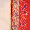 NS Rajasthani Handwork Zardozi Work Pila (Red + Orange)