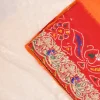 NS Rajasthani Handwork Zardozi Work Pila (Red + Orange)