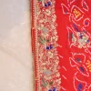 NS Traditional Pila with Zardozi Hand Embroidery