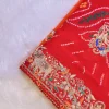 NS Traditional  Rajasthani Handwork Zardozi Work Pila (Red + Orange)
