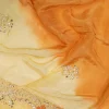 NS Designer Tie Dye Ho Silk Traditional Saree