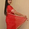 ns-s23-6 NS Traditional Bandhej Print Gota Patti Style Synthetic Saree